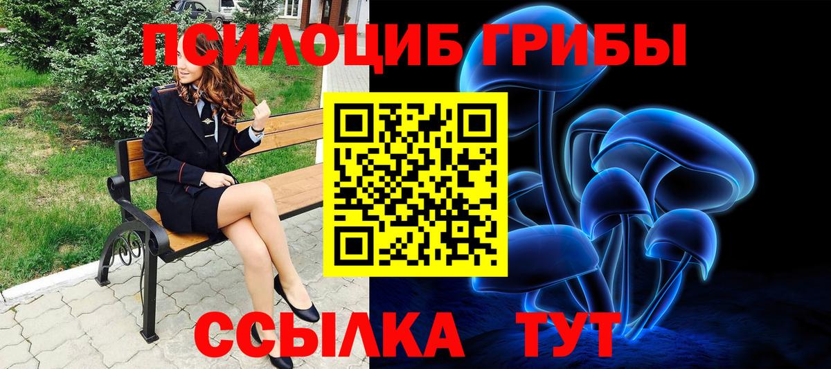 Псилоцибиновые грибы Cubensis Ногинск