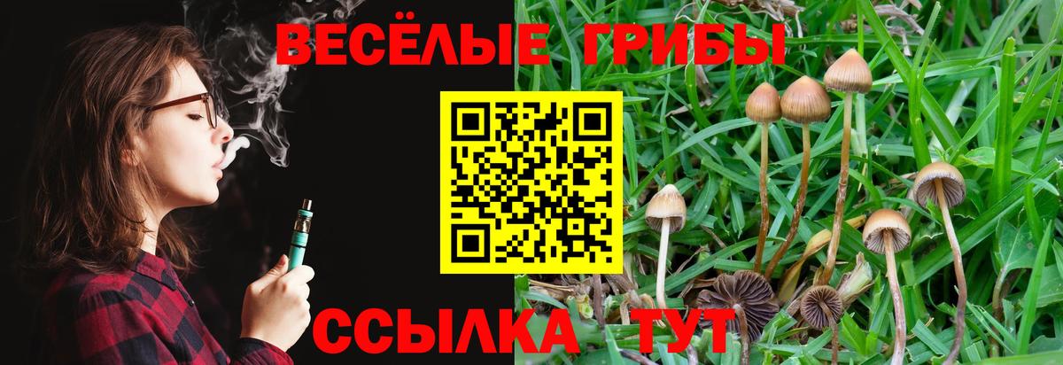 Псилоцибиновые грибы MAGIC MUSHROOMS  Вход с VPN  Псилоцибиновые грибы Psilocybine cubensis  Ногинск 